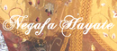  Negafa Hayate